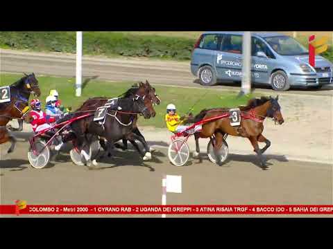 III corsa del 14 gennaio 2023   5 Anni ed oltre   Metri 2000   Asp.  Allievi