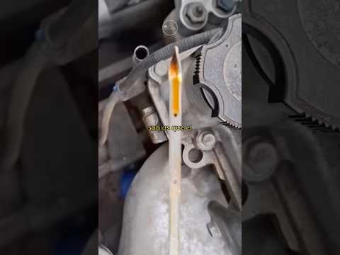 How to fix engine oil consumption ✅