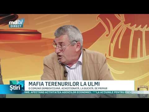 MAFIA TERENURILOR LA ULMI