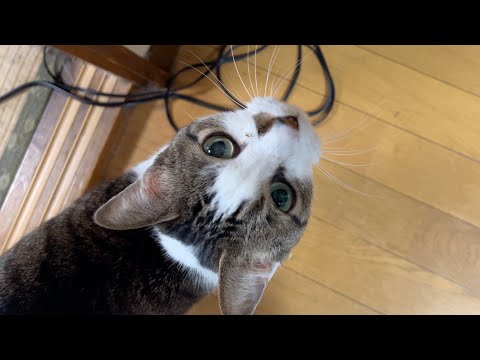 マサヒロ or まーくん or マーくん」のYahoo!リアルタイム検索 - X（旧