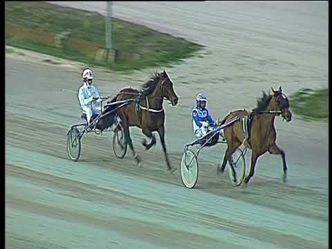 Trotto 25/02/2018 - prova di qualifica