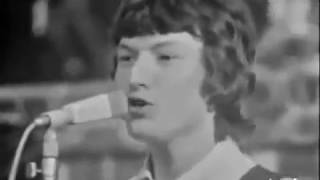 Spencer Davis Group - It's Gonna Work Out Fine Live