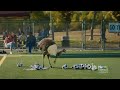Liberty Mutual Commercial 3 2026