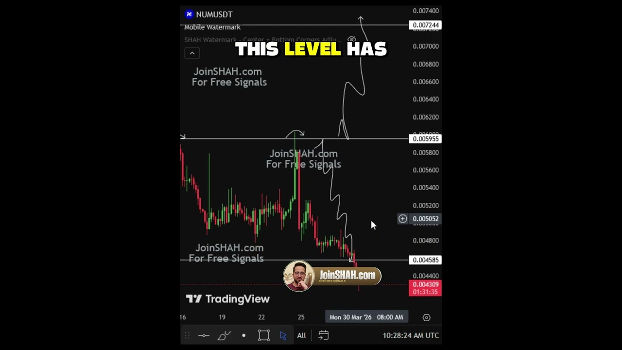 NUM Market Turning Point – Direction About to Reveal #cryptomarket #priceaction #tradingview