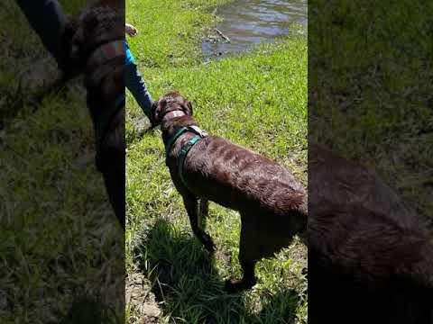 His first real swimming experience