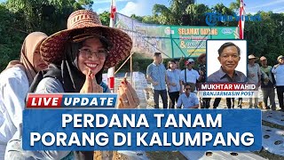 Investor China Siap Tampung Porang Tapin, Penandatanganan MoU Pastikan Pemasaran dan Harga