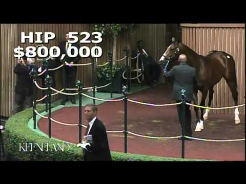 2013 September Yearling Sale - Hip 523, Medaglia d'Oro-Supercharger colt