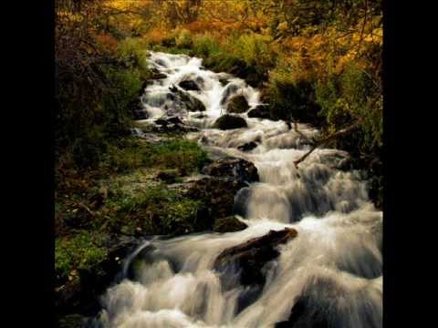 Jaybee - Signs (feat Blak)