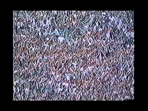 Palmeiras 4x0 Botafogo - Paulistão 96