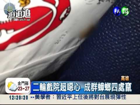 二輪"恐怖"戲院 蟑螂鑽腳驚聲叫