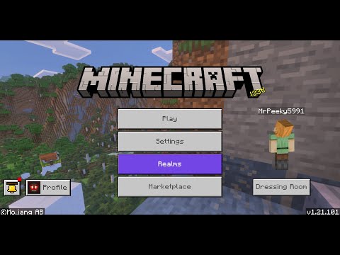 My Minecraft journey begins