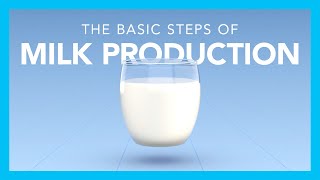 The basic steps of milk production