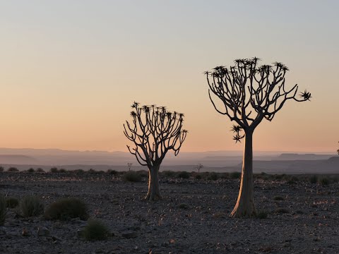 Süd Namibia 2024   Film 2