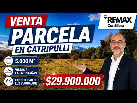 Parcela en venta en Catripulli | 5.000 m² entre Pucón y Curarrehue