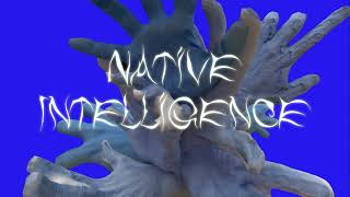 Native Intelligence Music Video