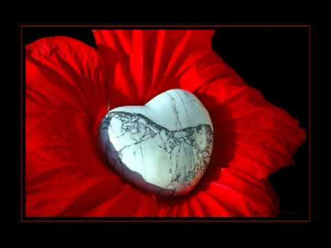 Jersee Rockkz  - Ich denk nur an Dich [unreleased]