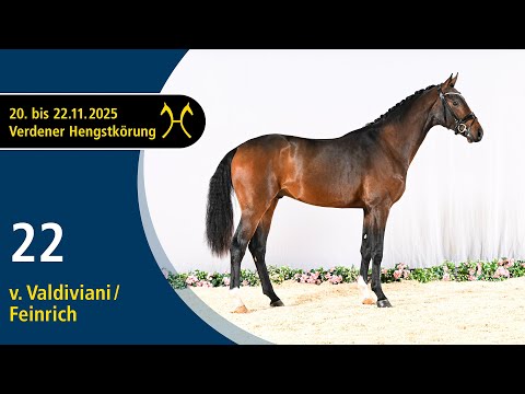 No. 22 Stallion by Valdiviani - Feinrich | Verden Stallion Licensing 2025 - Dressage - Nov. 21/22