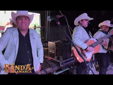 POLKA LA CURVA / LOS BANDA JR DE SALAMANCA