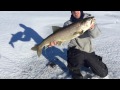 Video Thumbnail for Cold Lake, Lake Trout Fishing 2017