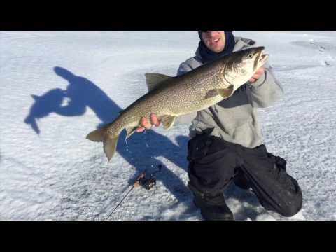 Video Thumbnail for Cold Lake, Lake Trout Fishing 2017