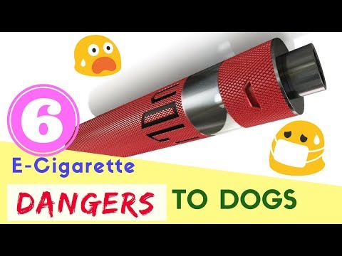 6 E-Cigarette Dangers to Dogs