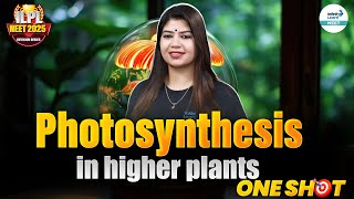 Photosynthesis in Higher Plants - Complete Chapter NEET 2025