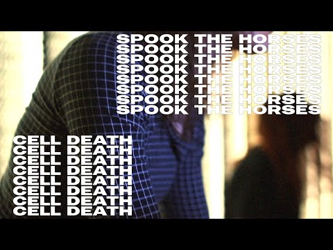 Spook the Horses - Cell Death (Official Video)
