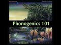 Discussing Fleetwood Mac 'Tango In The Night' (Phonogenics 101 Episode 74)