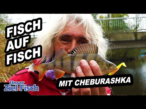 Bass frequency when street fishing with 2 baits - Our goal is fish - Fishing school with Jörg Ovens