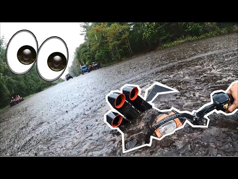 A Little Too Deep For Me! - Hog Waller Mud Bog