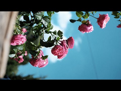 Khói - anh thèm được ngủ //Official