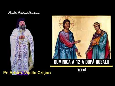 Cuvânt de învățătură - Pr. Arhim. Vasile Crișan - Duminica a 12-a după Rusalii