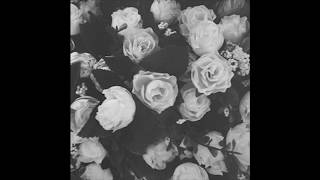 Cigarettes After Sex - John Wayne