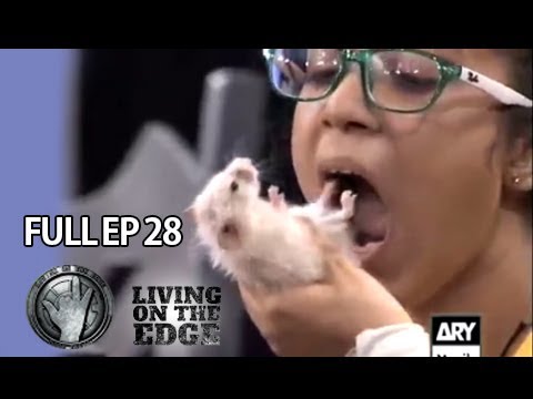 Living On The Edge Grand Finale (Season 4) Part 3 - ARY Musik