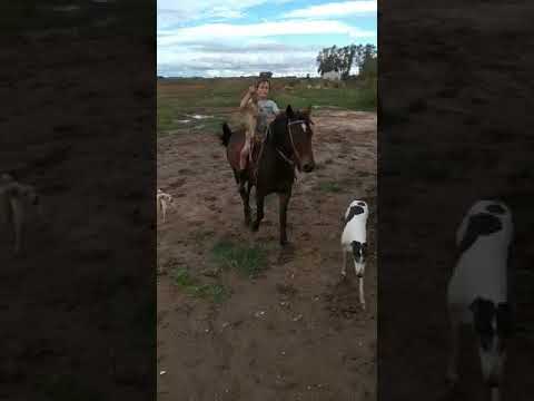 El chori ni la lluvia lo para