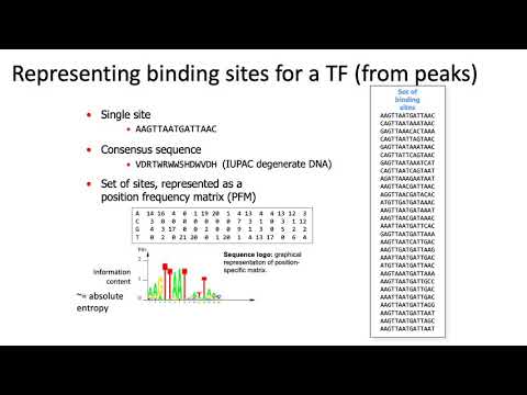 MCB 182 Lecture 7.6 - Position weight matrices, sequence logos