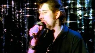 14 Nick Cave &amp; The Bad Seeds  What A Wonderful World with Shane MacGowan