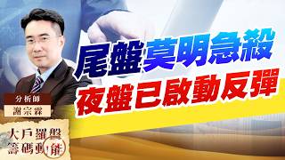尾盤莫明急殺 夜盤已啟動反彈｜大戶羅盤籌碼動能 ｜謝宗霖 (圖)