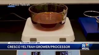 Exclusive tour of medical marijuana dispensary