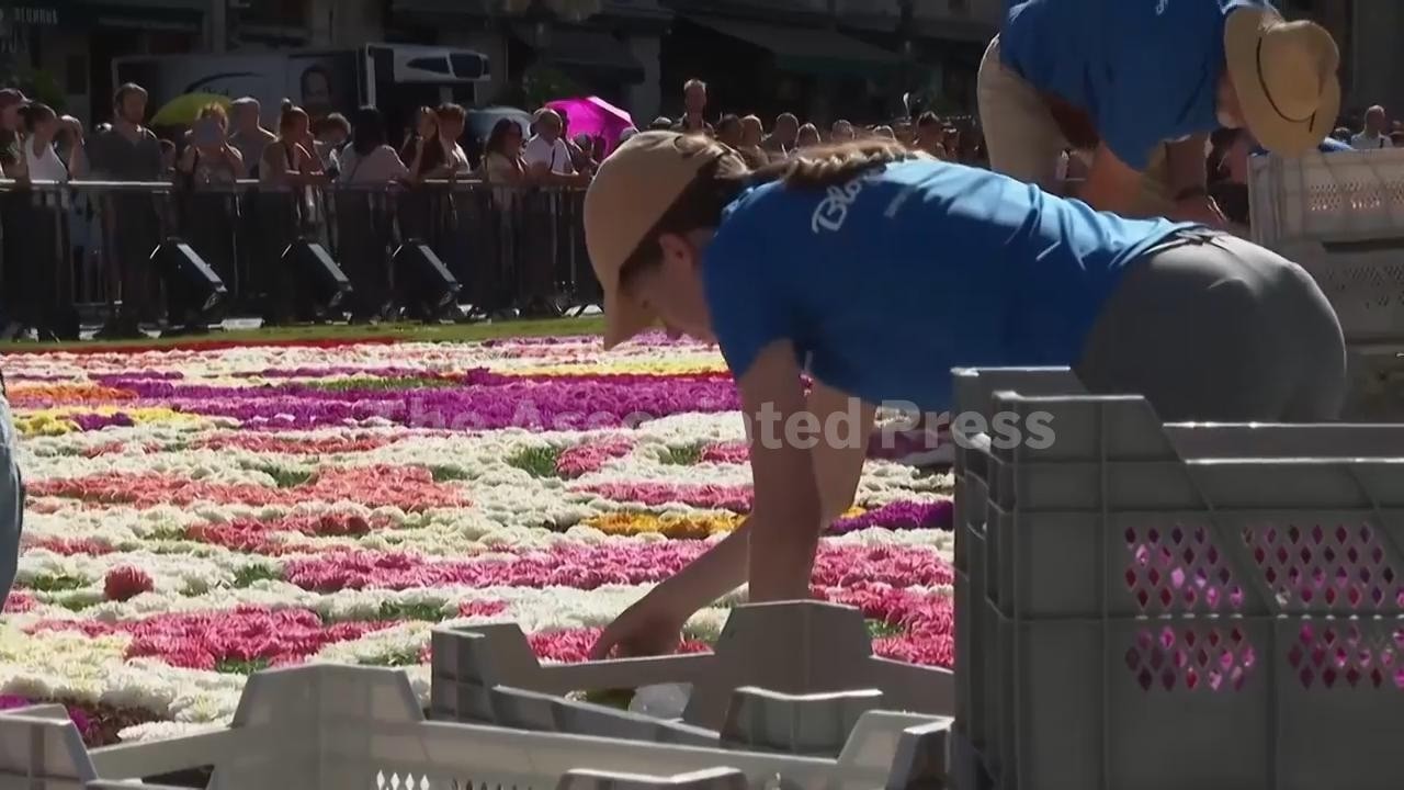 Video: Brussels Grand-Place displays Japanese Hokusai-inspired flower carpet August 13-16 2026
