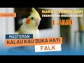Masteran Falk Parkit Australia Siul Kalau Kau Suka Hati Full 1 Jam Cockatiel Singing