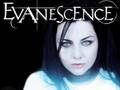 Evanescence-Going Under with Lyrics 