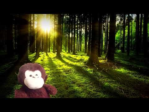 Ocean Park Standoff feat Seeb Lost Boys