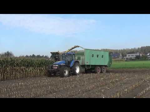 Landb. Rys - Maldegem