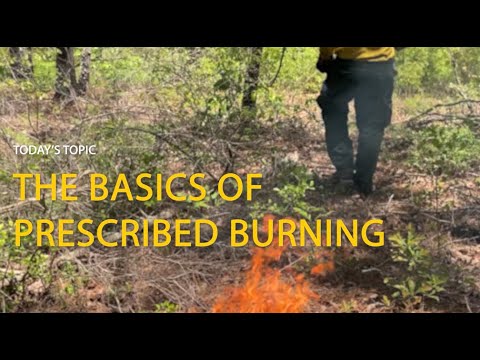 Prescribed Burning | Forest Stewardship Virtual Field Day Series