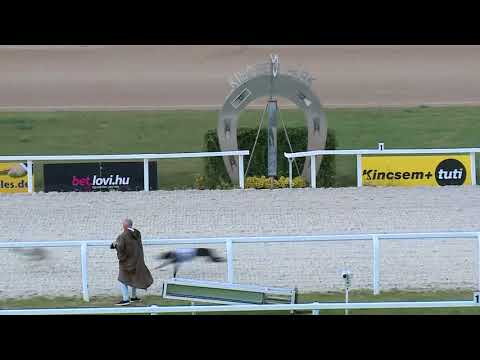 2018.06.02. - agár futam