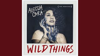 Wild Things (Remix)