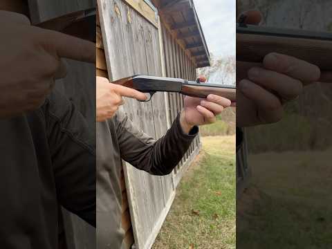 Browning SA-22 #guns #browning #shorts