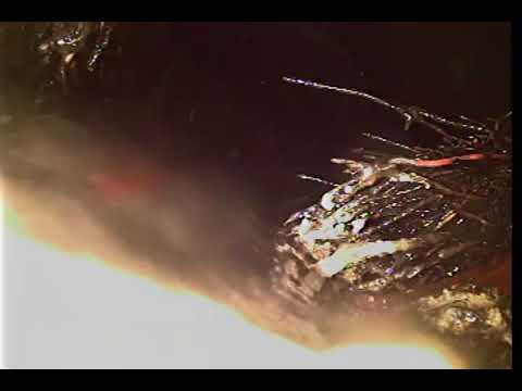 424 N Wabash Glendora Side House Cleanout