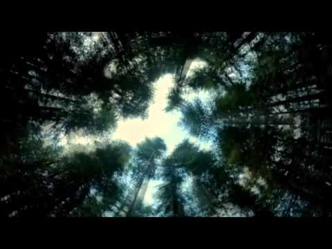 Fokus feat. Sliwka - Spacer (Bardziej Matt Blend)